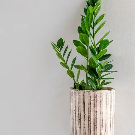 Modern Urban Retreat アパート