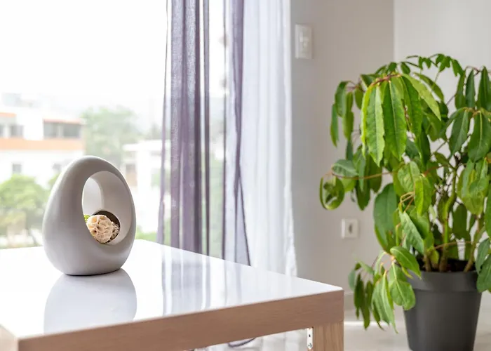 Daire Modern Urban Retreat