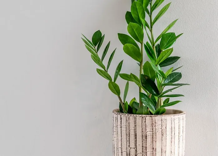 Modern Urban Retreat Appartement